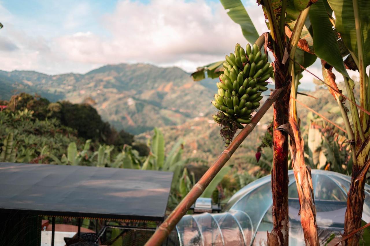 Villa Chami Glamping Manizales Exterior foto